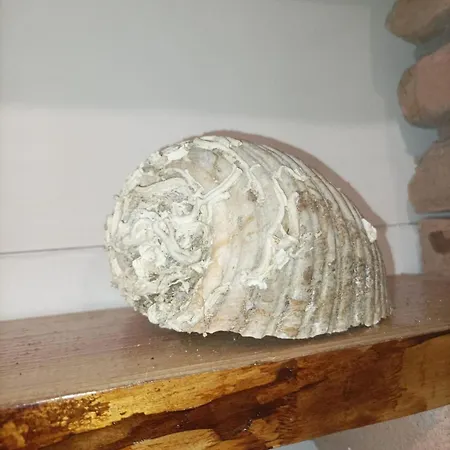 Appartamento Casa Del Mare Aci Trezza